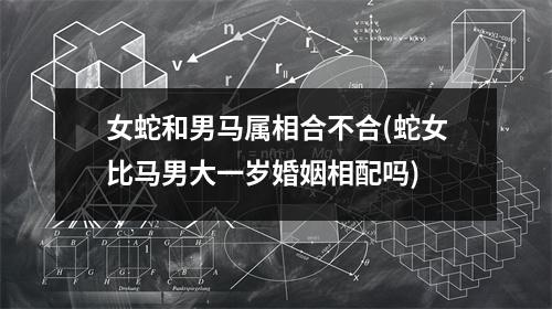 女蛇和男马属相合不合(蛇女比马男大一岁婚姻相配吗)