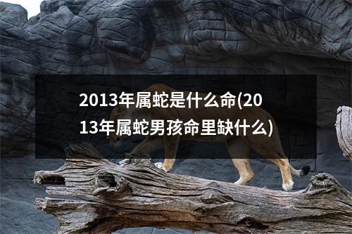 2013年属蛇是什么命(2013年属蛇男孩命里缺什么)