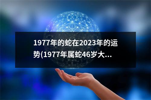 1977年的蛇在2023年的运势(1977年属蛇46岁大劫年)