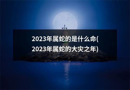 2023年属蛇的是什么命(2023年属蛇的大灾之年)