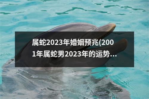 属蛇2023年婚姻预兆(2001年属蛇男2023年的运势和婚姻)