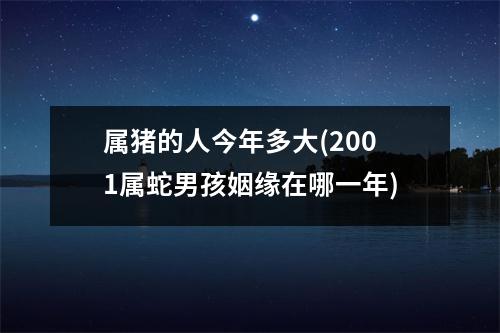 属猪的人今年多大(2001属蛇男孩姻缘在哪一年)