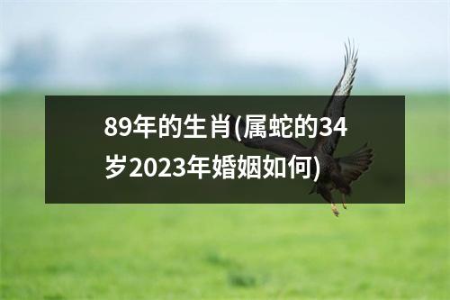 89年的生肖(属蛇的34岁2023年婚姻如何)