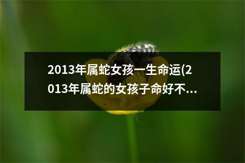 2013年属蛇女孩一生命运(2013年属蛇的女孩子命好不好)