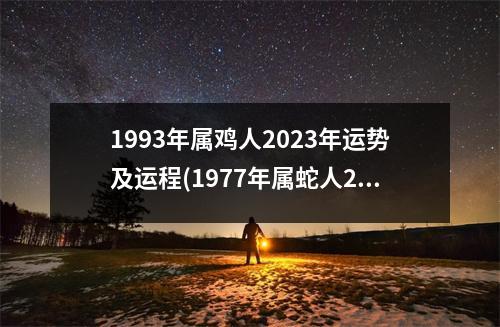 1993年属鸡人2023年运势及运程(1977年属蛇人2023年运势及运程)