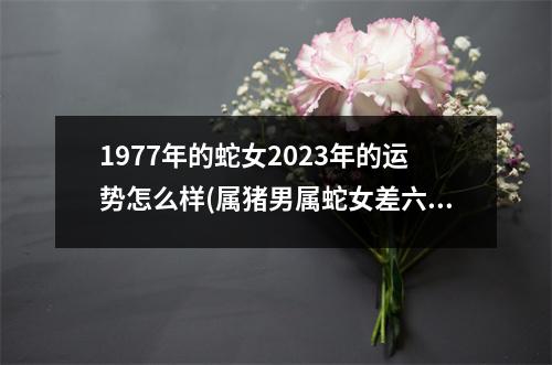 1977年的蛇女2023年的运势怎么样(属猪男属蛇女差六岁配婚姻好不好)