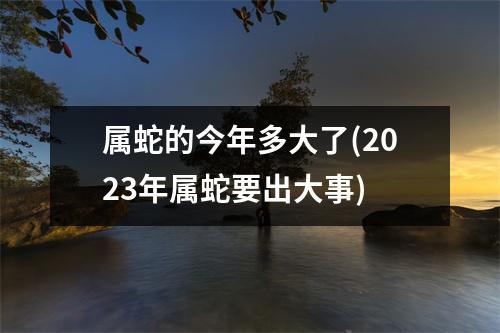 属蛇的今年多大了(2023年属蛇要出大事)