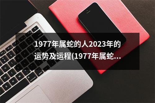 1977年属蛇的人2023年的运势及运程(1977年属蛇人45岁到49岁运程)