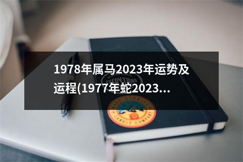 1978年属马2023年运势及运程(1977年蛇2023年运势完整版)