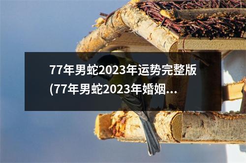 77年男蛇2023年运势完整版(77年男蛇2023年婚姻运势)