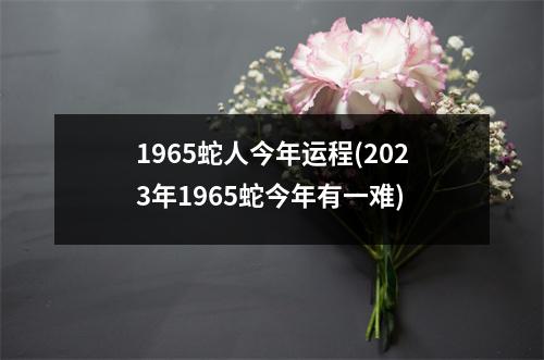 1965蛇人今年运程(2023年1965蛇今年有一难)