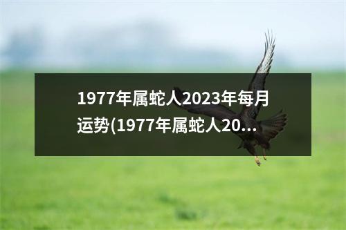 1977年属蛇人2023年每月运势(1977年属蛇人2023年每月运势如何第一星座)