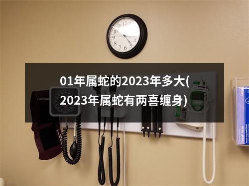 01年属蛇的2023年多大(2023年属蛇有两喜缠身)