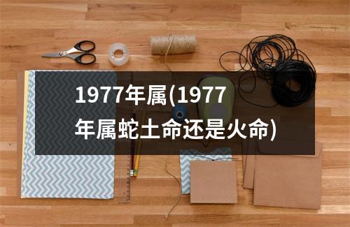 1977年属(1977年属蛇土命还是火命)