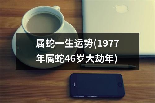 属蛇一生运势(1977年属蛇46岁大劫年)