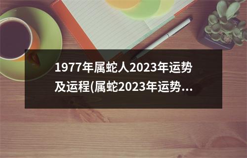 1977年属蛇人2023年运势及运程(属蛇2023年运势详解全年运程完整版)