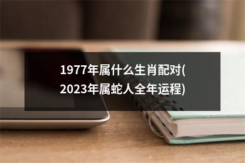 1977年属什么生肖配对(2023年属蛇人全年运程)