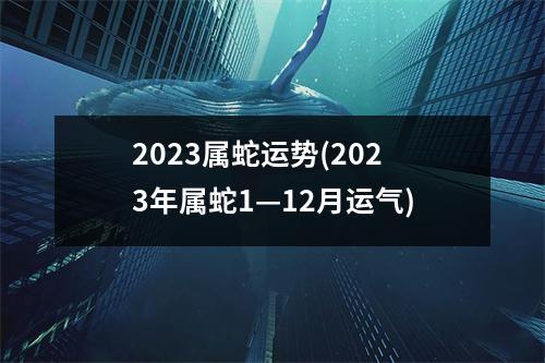 2023属蛇运势(2023年属蛇1—12月运气)