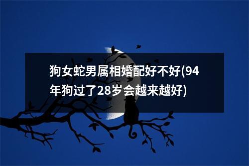 狗女蛇男属相婚配好不好(94年狗过了28岁会越来越好)