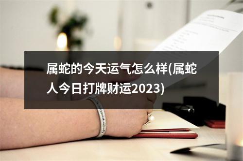 属蛇的今天运气怎么样(属蛇人今日打牌财运2023)