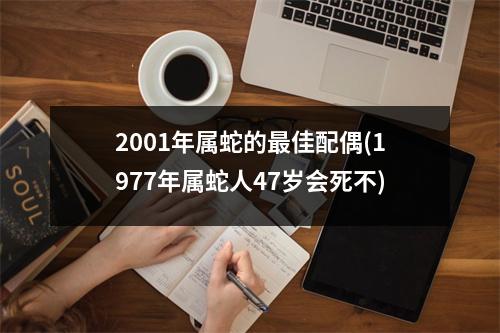 2001年属蛇的佳配偶(1977年属蛇人47岁会死不)