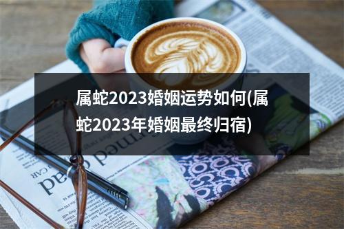 属蛇2023婚姻运势如何(属蛇2023年婚姻终归宿)