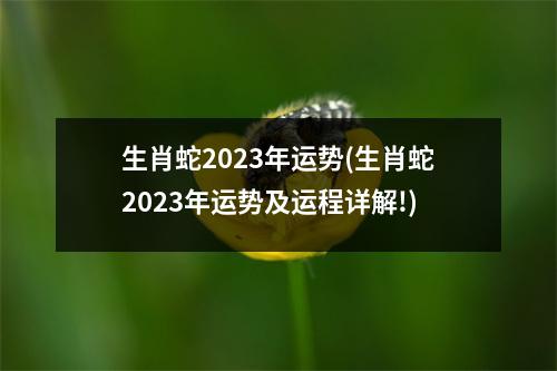 生肖蛇2023年运势(生肖蛇2023年运势及运程详解!)