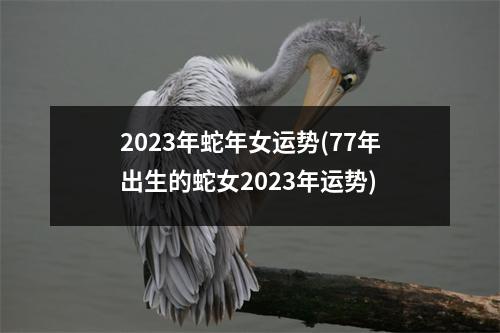 2023年蛇年女运势(77年出生的蛇女2023年运势)