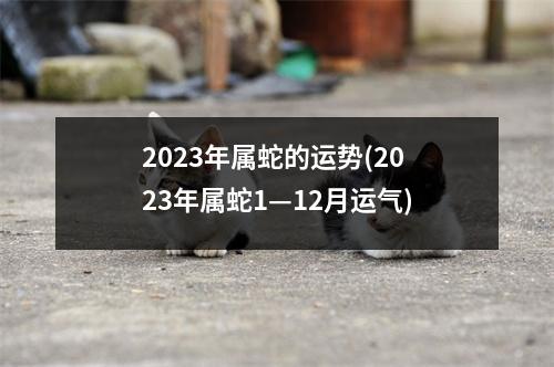 2023年属蛇的运势(2023年属蛇1—12月运气)