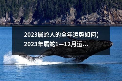 2023属蛇人的全年运势如何(2023年属蛇1—12月运气)