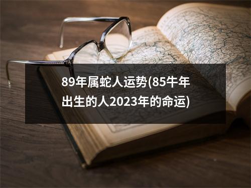 89年属蛇人运势(85牛年出生的人2023年的命运)