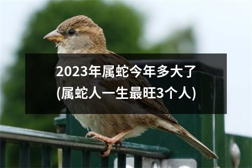 2023年属蛇今年多大了(属蛇人一生旺3个人)