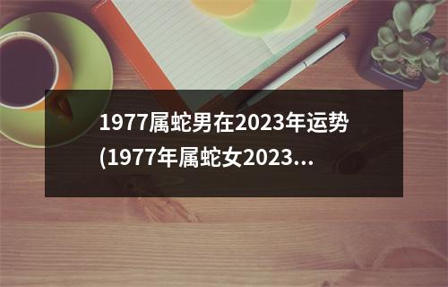 1977属蛇男在2023年运势(1977年属蛇女2023年的运势)