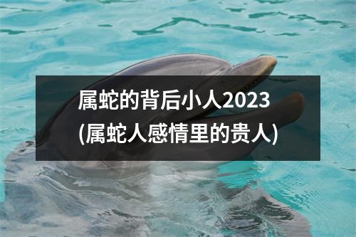 属蛇的背后小人2023(属蛇人感情里的贵人)