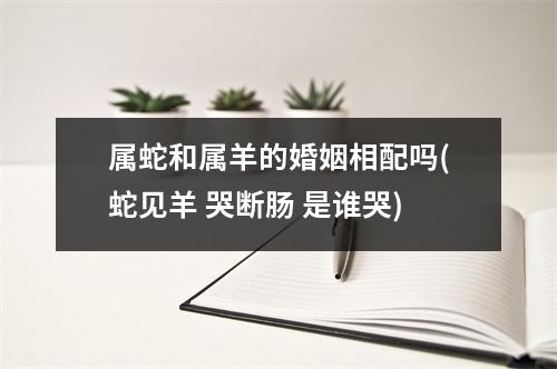 属蛇和属羊的婚姻相配吗(蛇见羊 哭断肠 是谁哭)