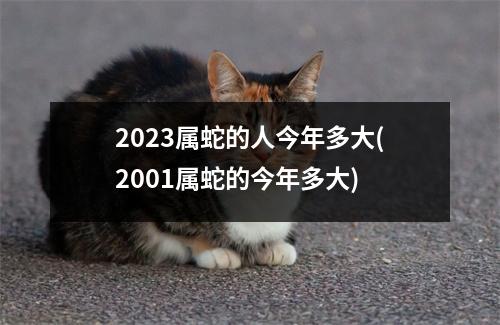 2023属蛇的人今年多大(2001属蛇的今年多大)