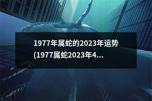 1977年属蛇的2023年运势(1977属蛇2023年47岁以后运气)