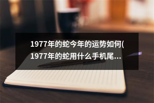 1977年的蛇今年的运势如何(1977年的蛇用什么手机尾号好)