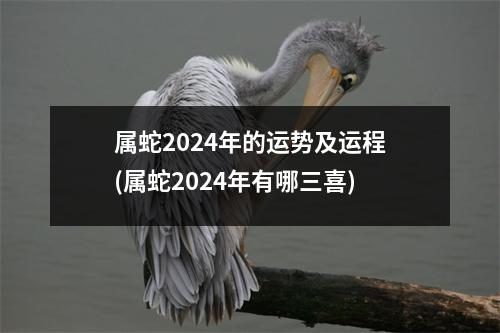 属蛇2024年的运势及运程(属蛇2024年有哪三喜)