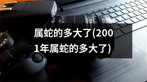 属蛇的多大了(2001年属蛇的多大了)