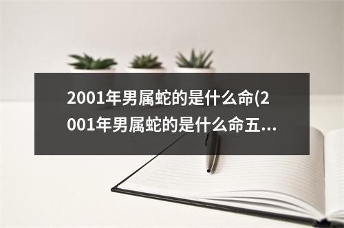 2001年男属蛇的是什么命(2001年男属蛇的是什么命五行)