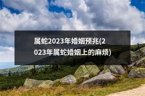 属蛇2023年婚姻预兆(2023年属蛇婚姻上的麻烦)