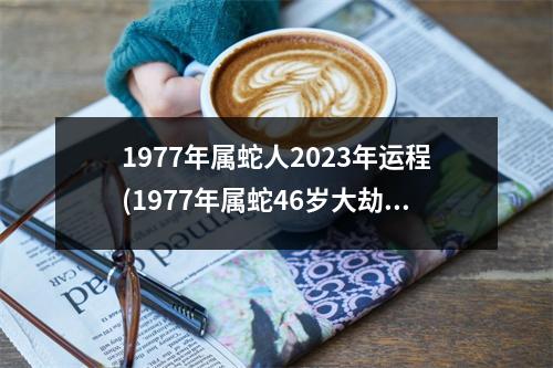 1977年属蛇人2023年运程(1977年属蛇46岁大劫年)