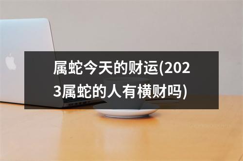 属蛇今天的财运(2023属蛇的人有横财吗)