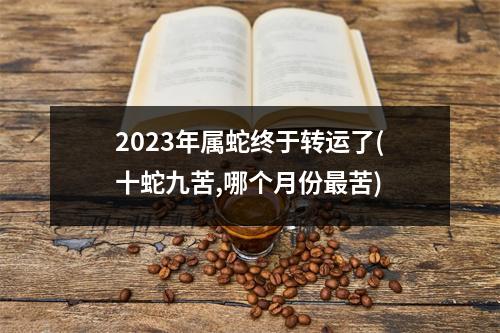 2023年属蛇终于转运了(十蛇九苦,哪个月份苦)