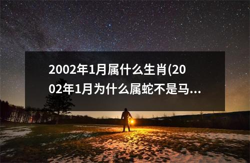 2002年1月属什么生肖(2002年1月为什么属蛇不是马)