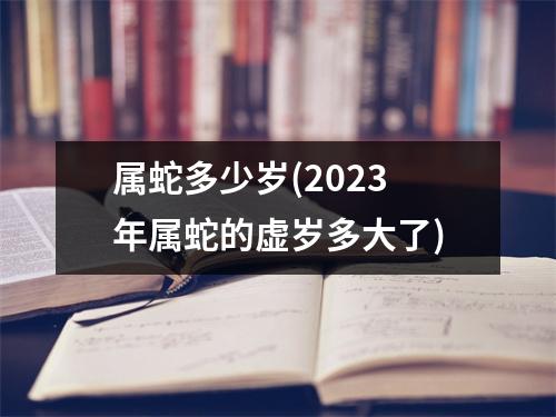 属蛇多少岁(2023年属蛇的虚岁多大了)