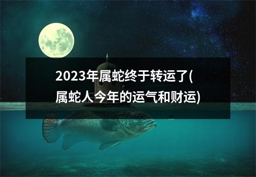 2023年属蛇终于转运了(属蛇人今年的运气和财运)