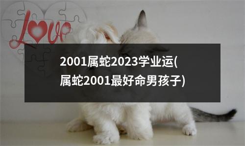 2001属蛇2023学业运(属蛇2001好命男孩子)