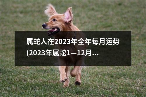 属蛇人在2023年全年每月运势(2023年属蛇1—12月运气)